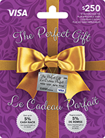 The Perfect Gift VISA 250